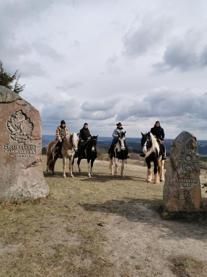 Reitstation Rossmuehle Lägenhet Gräfendorf Exteriör bild
