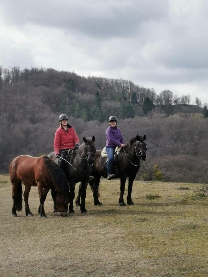 Reitstation Rossmuehle Lägenhet Gräfendorf Exteriör bild